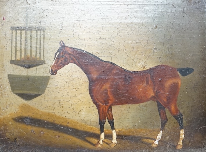 After C D Langley, Study of a bay horse, applied plaque to the ornate gilt frame, Studio M Canals stamp verso, decorative colour print on board, 18 x 24cm